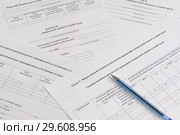 Бланки для оформления результатов проведения специальной оценки условий труда и шариковая ручка. СОУТ. Стоковое фото, фотограф Наталья Гармашева / Фотобанк Лори