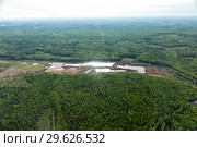 Top view of the riverbed forest after gold mining. Gold mining with dredge. Environmental pollution. Ecological catastrophy. Стоковое фото, фотограф Евгений Ткачёв / Фотобанк Лори