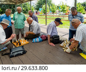 Шахматный турнир между отдыхающими в городском парке (2018 год). Редакционное фото, фотограф Вячеслав Палес / Фотобанк Лори