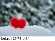 Red woolen heart on fluffy snow with blurred pine trees covered with snow on background. Стоковое фото, фотограф Георгий Дзюра / Фотобанк Лори