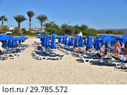 Ayia Napa, Cyprus - November 1. 2018. People on Sun loungers on Makronissos Beach Resort. Редакционное фото, фотограф Володина Ольга / Фотобанк Лори