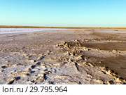 Steppe saline soils. Steppe prairie veldt veld. Saline soils of the desert. Salt lakes. Стоковое фото, фотограф Евгений Ткачёв / Фотобанк Лори