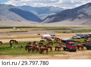 Mongolian nomad camp. Guests came to the national holiday and national wrestling competitions. (2017 год). Редакционное фото, фотограф Сергей Пристяжнюк (Serg Zastavkin) / Фотобанк Лори