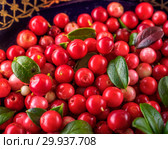 Background with cowberry. Vaccinium vitis-idaea (lingonberry, partridgeberry). Berry leaves. view from above. Collected cranberries. Стоковое фото, фотограф Евгений Бобков / Фотобанк Лори