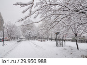 Заснеженные улицы Москвы во время снегопада 13 февраля 2019 года. Редакционное фото, фотограф Анастасия Мелешкина / Фотобанк Лори