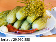 Соленые огурцы, острый перец, укроп и чеснок на тарелке, бочковые. Стоковое фото, фотограф Дудакова / Фотобанк Лори