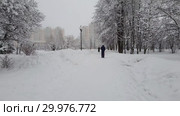 Moscow, Russia -Feb 13. 2019. Parents with baby strollers are walking in city park during a snowfall. Редакционное видео, видеограф Володина Ольга / Фотобанк Лори