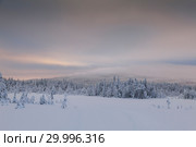 Panorama of winter snowy landscape with forest and mountain, Paanajärvi, Karelia, Russia. Стоковое фото, фотограф Кирилл Трифонов / Фотобанк Лори