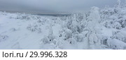 Aerial panorama of winter snowy landscape with forest, Kevakka mountain and lake, Paanajärvi, Karelia, Russia. Стоковое фото, фотограф Кирилл Трифонов / Фотобанк Лори