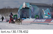 Детская гонка на собачьих упряжках "Дюлин" ("Берингия") (2019 год). Редакционное видео, видеограф А. А. Пирагис / Фотобанк Лори