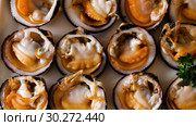 Delicious baked in oven Dog cockles (bivalve shellfishes) served with greens and vegetables. Стоковое видео, видеограф Яков Филимонов / Фотобанк Лори