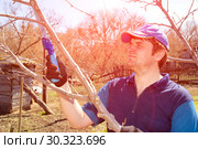 Young handsome man makes spring pruning of fruit trees. Стоковое фото, фотограф Акиньшин Владимир / Фотобанк Лори
