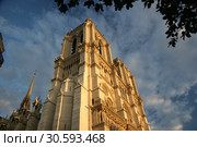 Собор Парижской Богоматери (Нотр-Дам-де-Пари), Париж (2007 год). Стоковое фото, фотограф Евгений Ковалев / Фотобанк Лори