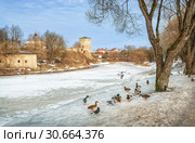 Псков. Гремячая башня. Gremyachaya tower in Pskov (2019 год). Стоковое фото, фотограф Baturina Yuliya / Фотобанк Лори