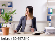 Young pregnant employee working in the office. Стоковое фото, фотограф Elnur / Фотобанк Лори