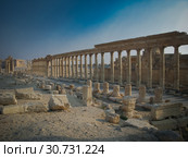 Panorama of Palmyra columns and ancient city, destroyed now, Syria (2011 год). Стоковое фото, фотограф Сергей Майоров / Фотобанк Лори