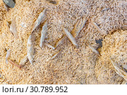 Natural background - feldspar crystals. Стоковое фото, фотограф Евгений Харитонов / Фотобанк Лори