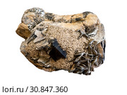 Conglomerate of morion, feldspar and mica crystals isolated on white background. Стоковое фото, фотограф Евгений Харитонов / Фотобанк Лори