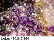 Natural background - cluster of violet amethyst crystals. Стоковое фото, фотограф Евгений Харитонов / Фотобанк Лори