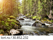 Mountain clean river with many rapids. Стоковое фото, фотограф Евгений Ткачёв / Фотобанк Лори