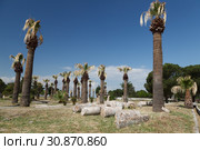 Ruins of ancient city of Hierapolis. Pamukkale. Turkey. (2015 год). Стоковое фото, фотограф Анна Иноземцева / Фотобанк Лори