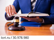 Young male judge sitting in courtroom. Стоковое фото, фотограф Elnur / Фотобанк Лори
