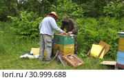 Горная пасека. Пчеловоды за работой. Mountain apiary. Beekeepers at work. Стоковое видео, видеограф Евгений Романов / Фотобанк Лори