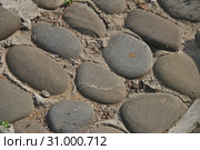Тротуарная плитка брусчатка (2014 год). Стоковое фото, фотограф lana1501 / Фотобанк Лори