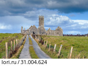 Ross Errilly Friary, Ireland (2018 год). Стоковое фото, фотограф Boris Breytman / Фотобанк Лори