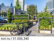 Город Москва, улица Новый Арбат, 19-21. Конкурс и фестиваль городского ландшафтного дизайна «Цветочный джем» - 2019. Летние сады Москвы. Номинация 2 «Средний выставочный сад», «Архитектура природы» (Россия) Редакционное фото, фотограф Владимир Сергеев / Фотобанк Лори