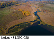 Вид на Изборско-Мальскую долину золотой осенью (аэрофотосъемка). Псковская область, Россия (2018 год). Редакционное фото, фотограф Виктор Карасев / Фотобанк Лори
