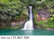 Mauritius. Small falls in "Valley of 23 colors of the Earth" park in Mare-aux-Aiguilles. Стоковое фото, фотограф Куликов Константин / Фотобанк Лори