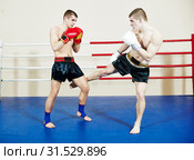 muai thai fighting boxers in ring. Стоковое фото, фотограф Дмитрий Калиновский / Фотобанк Лори