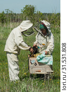 Горная пасека. Пчеловоды за работой. Mountain apiary. Beekeepers at work. (2019 год). Редакционное фото, фотограф Евгений Романов / Фотобанк Лори
