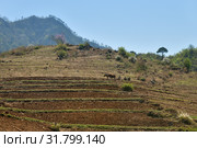 North Korea. Countryside (2019 год). Стоковое фото, фотограф Знаменский Олег / Фотобанк Лори