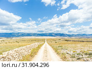 Dirt road leading trough dry rocky Mediterranean coastal lanscape of Pag island, Croatia in summertime. Стоковое фото, фотограф Matej Kastelic / Фотобанк Лори