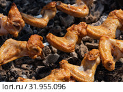 Шашлык из куриного мяса. Стоковое фото, фотограф А. А. Пирагис / Фотобанк Лори
