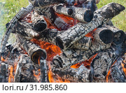 Горящий на поляне костёр. Birning campfire. Стоковое фото, фотограф Евгений Романов / Фотобанк Лори