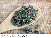 Motherwort - a medicinal plant with a calming effect. Стоковое фото, фотограф Galina Tolochko / Фотобанк Лори