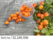 Морошка среди листьев на сером деревянном фоне. Стоковое фото, фотограф Наталья Осипова / Фотобанк Лори