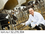 veterinary technician taking care of calves. Стоковое фото, фотограф Яков Филимонов / Фотобанк Лори