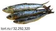 Salted sardines on wooden surface. Стоковое фото, фотограф Яков Филимонов / Фотобанк Лори