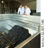 Two engineers of winery controlling process. Стоковое фото, фотограф Яков Филимонов / Фотобанк Лори