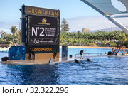Big screen over scene is for watching show with big orca whales. The Loro Parque is one of the biggest attractions of the Canary Islands. Puerto de la Cruz, Tenerife, Spain (2016 год). Редакционное фото, фотограф Кекяляйнен Андрей / Фотобанк Лори