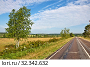 Дорога из села Турово в село Игумново, Серпуховский городской округ, МО (2019 год). Стоковое фото, фотограф Владимир Литвинов / Фотобанк Лори