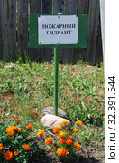 Табличка "Пожарный гадрант" (2010 год). Стоковое фото, фотограф lana1501 / Фотобанк Лори