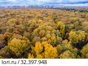 Москва, Природно-исторический парк "Тушинский", Алёшкинский лес (2019 год). Стоковое фото, фотограф glokaya_kuzdra / Фотобанк Лори