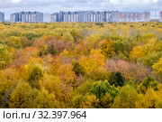 Москва, Природно-исторический парк "Тушинский", Алёшкинский лес (2019 год). Стоковое фото, фотограф glokaya_kuzdra / Фотобанк Лори