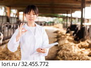 Female employee in white gown working with cows at cowhouse. Стоковое фото, фотограф Яков Филимонов / Фотобанк Лори