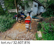 Motorbike, scooter, traditional two wheels transport in Asia. Стоковое фото, фотограф Aleksejs Bergmanis / Фотобанк Лори
